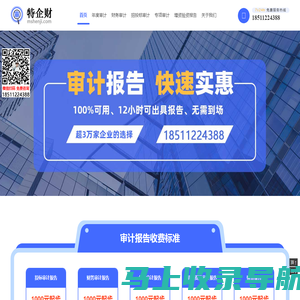 公司财务审计报告收费标准_特企财-出具年度审计报告多少钱一份